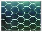hexagonal mesh 3