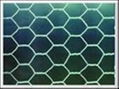 hexagonal mesh 3