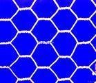 hexagonal mesh 5