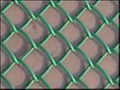 chain link fence 5