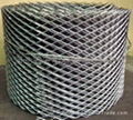 coil mesh  5