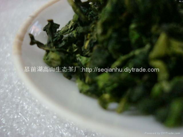 09 new spring Tieguanyin 2