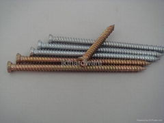 Concrete Screw