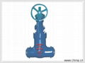 high pressure butt weld globe valve