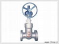 carbon steel pressure seal gate valve