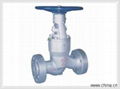 carbon steel pressure seal globe valve