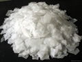 Caustic Soda 1