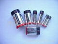 alkaline battery