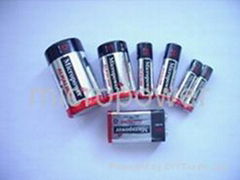 alkaline battery