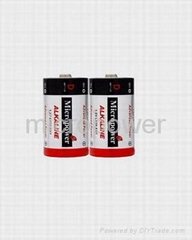 alkaline battery D/LR20