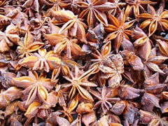 Star  Aniseed