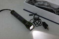 solar torch