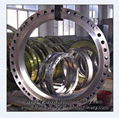 flange,flange,forging flange,flange,forging flange,forging flange,flange,flange 1