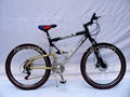 Mountain bicycle（full suspension)