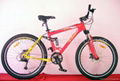 Mountain bicycle(Full suspension) 1