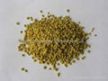 Rape Bee Pollen Granule 1