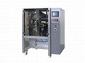 Large-sized Full Automatic Packaging Machine