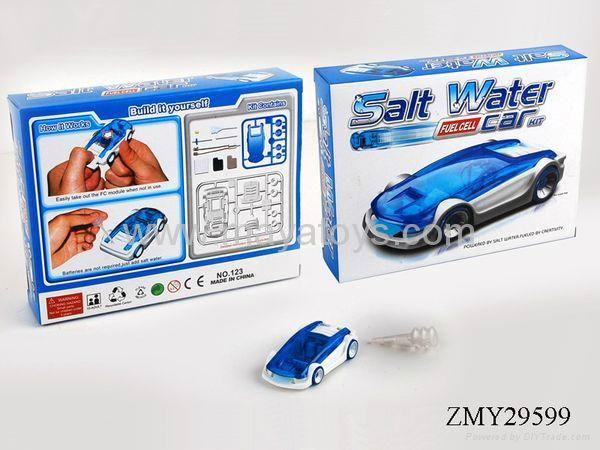 Salt water fuel cell car 