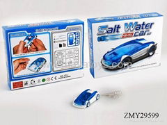 Salt water fuel cell car