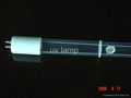 UV LAMP -AMALGAM LAMP 1