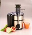 Stainless Power Juicer