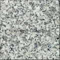 Chinese granite 1