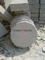 Paving stone 5