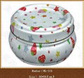 packaging tin box 1