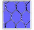 hexagonal wire mesh