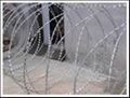 barbed wire 1