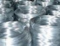 galvanized wire