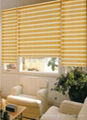 roller blinds for home 3