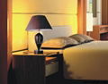 Inerior Lighing --Table Lamp ,Floor Lamp ,Wall lamp  3