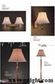 Inerior Lighing --Table Lamp ,Floor Lamp ,Wall lamp  4