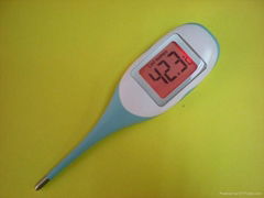 digital thermometer