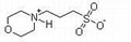3-(4-Morpholino)propane Sulfonic Acid