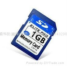 SD card