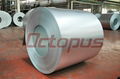 Hot dipped galvanized steel coil  1