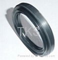 Half-axle oil seals 1