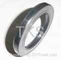 Hub oil seal