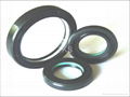 High-pressure oil seal