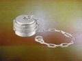 Guillemin Couplings 1