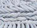 hot dipped galvanized wire 4