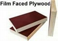 film faced plywood