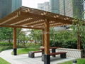 Pergola 5