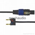 Audio Cable 1