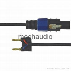 Audio Cable