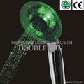 temperature detectable shower  1