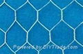 Hexagonal Wire Netting 1