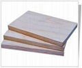 Birch Plywood 1